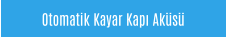 Otomatik Kayar Kapı Aküsü