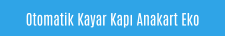Otomatik Kayar Kapı Anakart Eko
